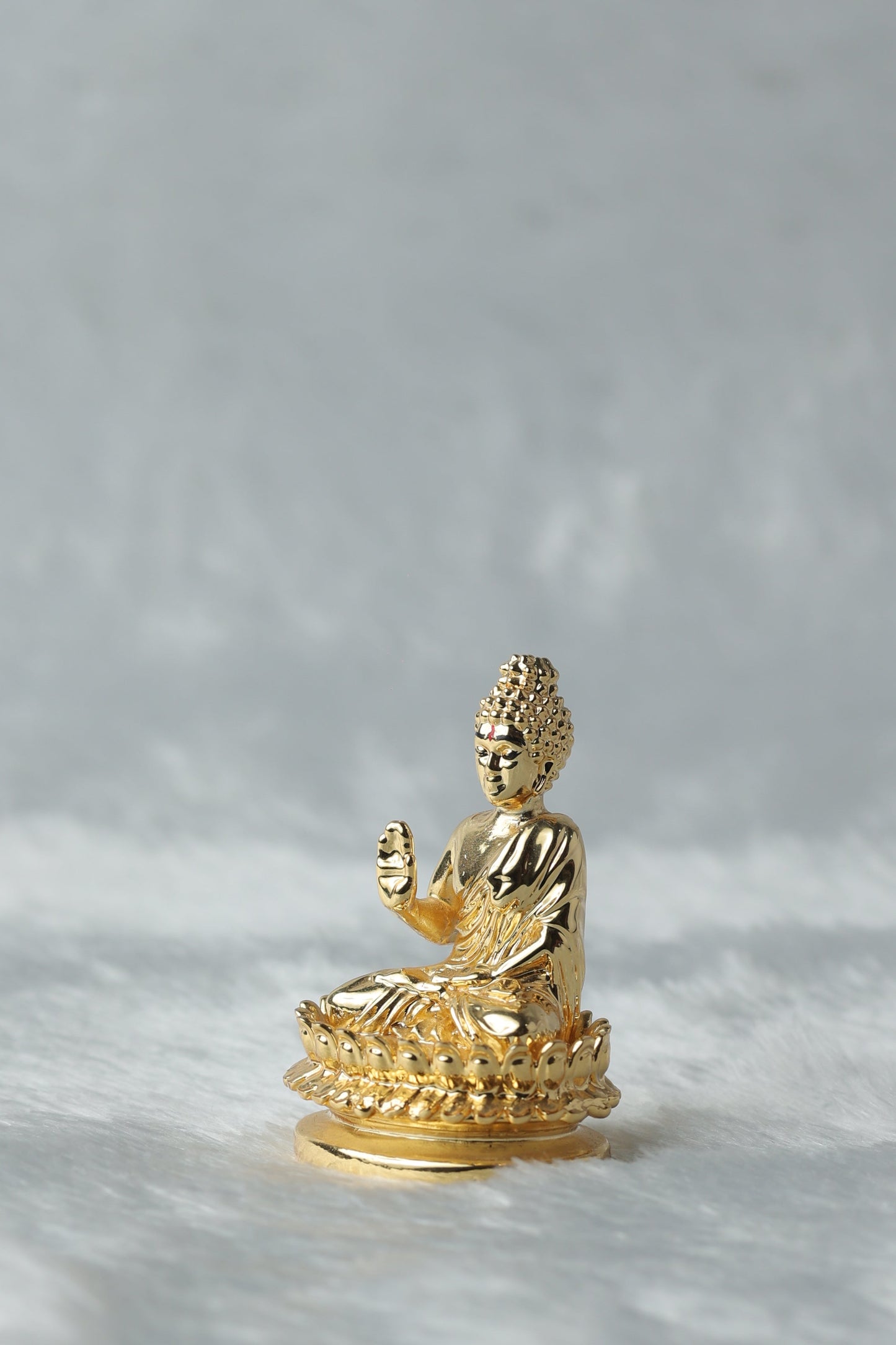 Gold plated Buddha Ji